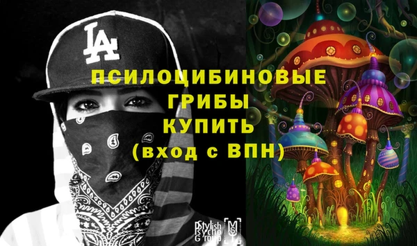 a pvp Нея