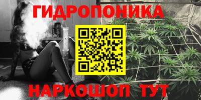 прущая мука Кандалакша
