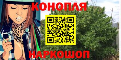 шишки Гусев