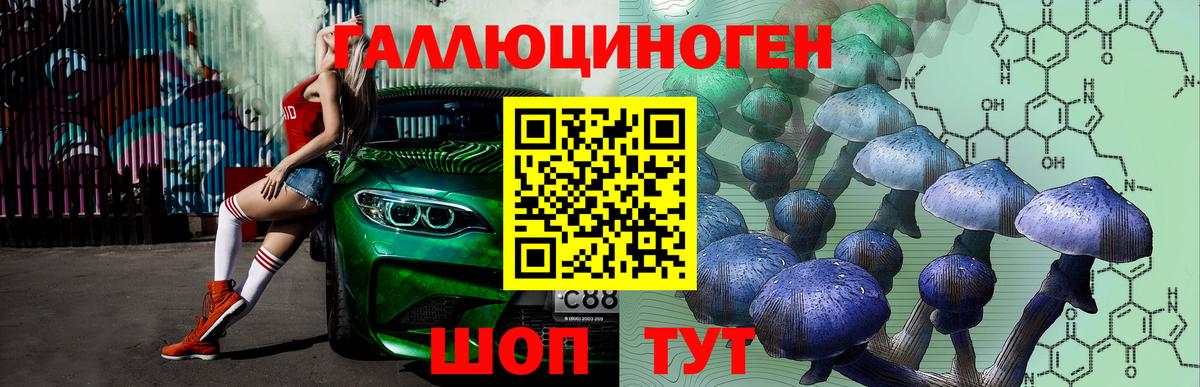 Галлюциногенные грибы Cubensis Нижний Тагил