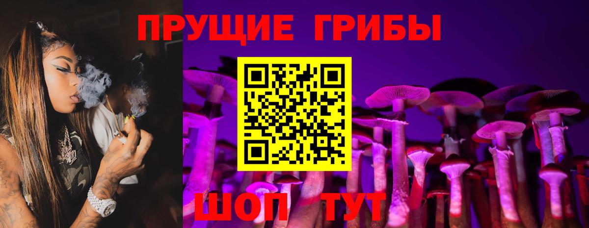 Нижний Тагил  Псилоцибиновые грибы Psilocybe  купить наркоту  Вход с VPN 